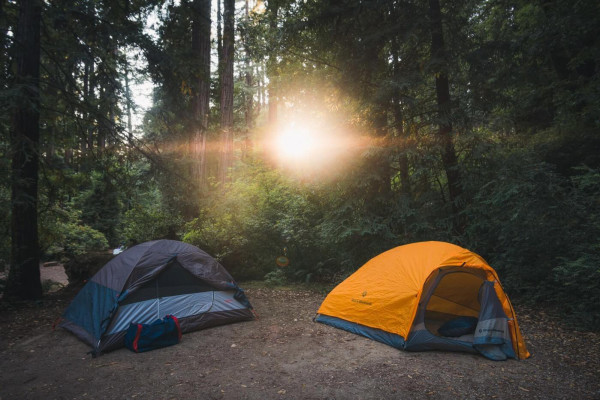 Two tents in the forest and the sun is shining through the leaves.